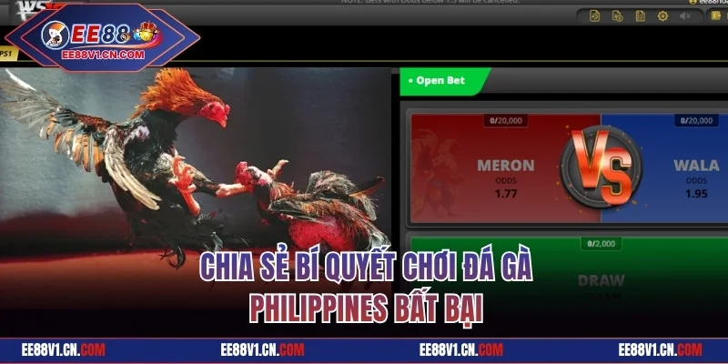 Chia sẻ bí quyết chơi đá gà Philippines bất bại