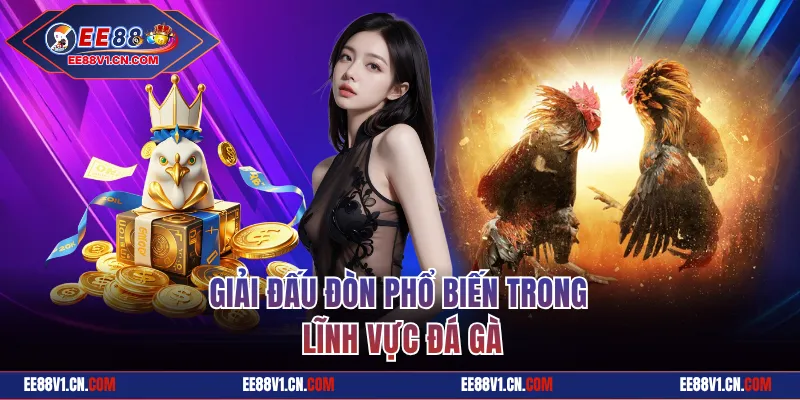Đá Gà Cựa Đòn - Trận Đấu Kinh Điển Tại Nhà Cái EE88 1 Giải đấu đòn phổ biến trong lĩnh vực đá gà