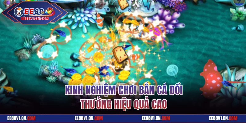 Kinh nghiệm chơi bắn cá đổi thưởng hiệu quả cao