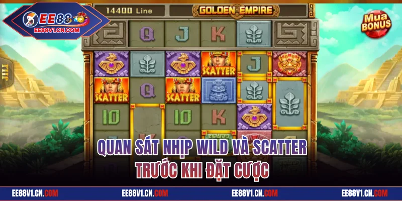Quan sát nhịp Wild và Scatter trước khi đặt cược