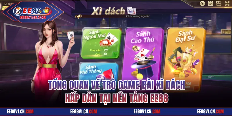 Tổng quan về trò game bài Xì Dách hấp dẫn
