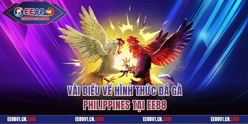 Vài điều về hình thức đá gà Philippines tại EE88
