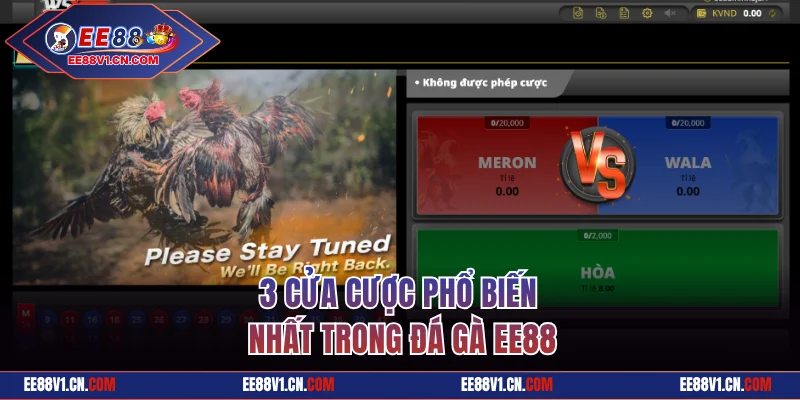 3 cửa cược phổ biến nhất trong đá gà EE88