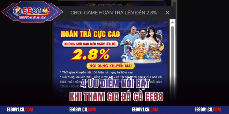 4 ưu điểm nổi bật khi tham gia đá gà EE88