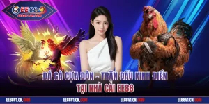 Đá Gà Cựa Đòn - Trận Đấu Kinh Điển Tại Nhà Cái EE88
