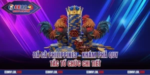 Đá Gà Philippines - Khám Phá Quy Tắc Tổ Chức Chi Tiết