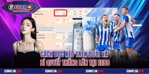 Cách Đọc Kèo Trên Dưới Và Bí Quyết Thắng Lớn Tại EE88